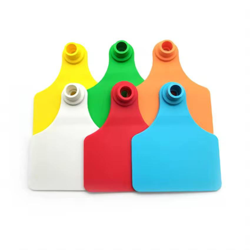 Stacked ear tags in multiple colours