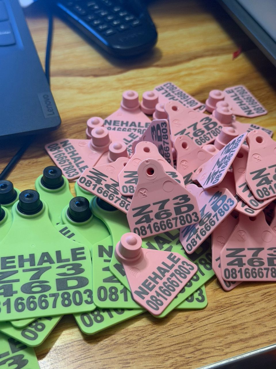 Custom printed ear tags with NEHALE farm name and contact number