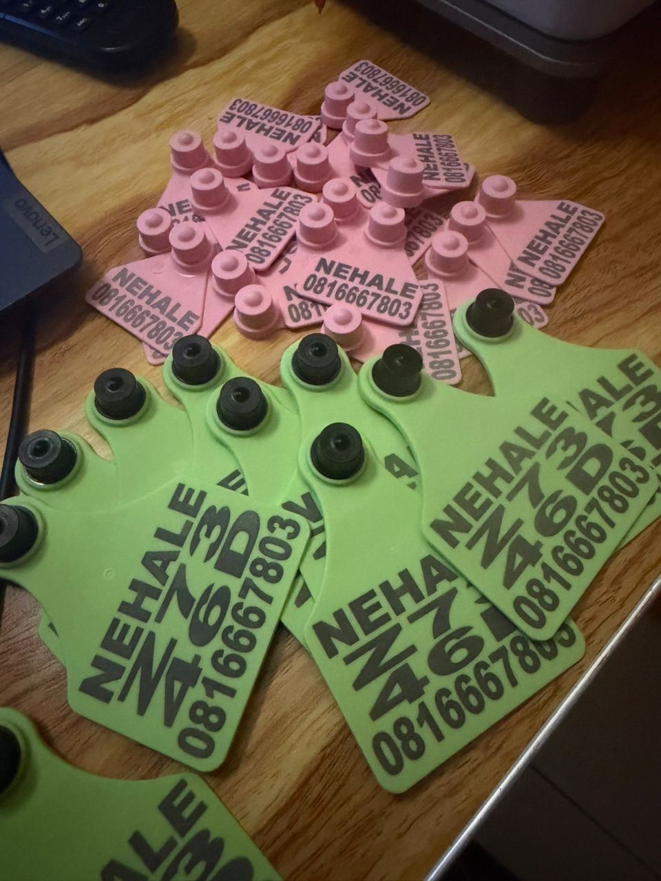 Custom-printed green ear tags with NEHALE name