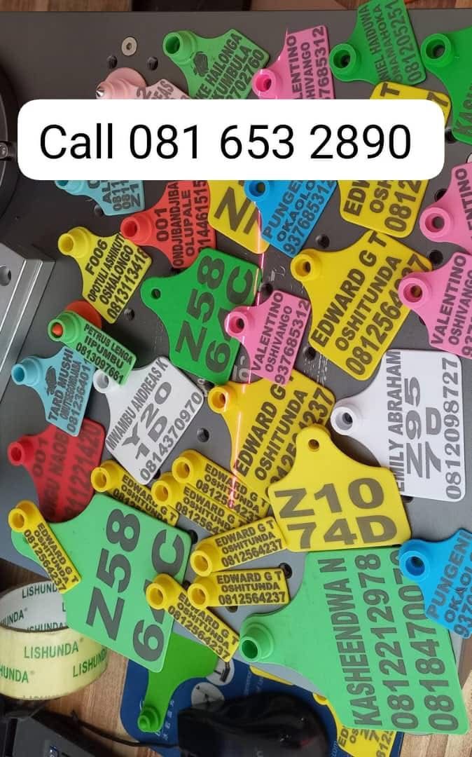 Bulk order of mixed colour custom ear tags