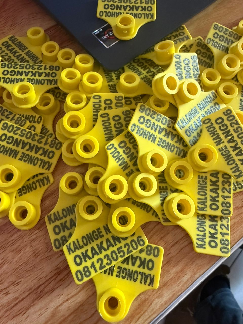 Yellow ear tags printed with KALONGE NAHOLO OKAKANGO farm details